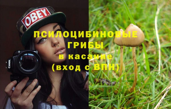 синтетический гашиш Верхний Тагил