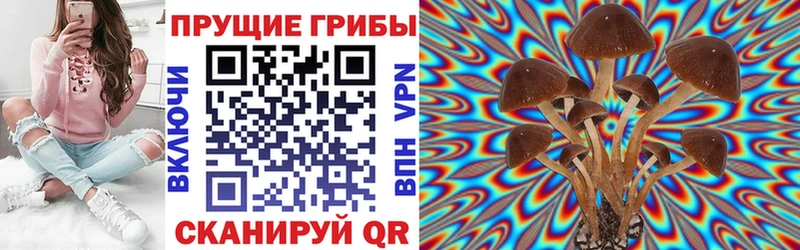 Галлюциногенные грибы мицелий  Купить закладки  Лосино-Петровский 