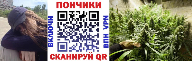 Купить закладки  Лосино-Петровский  Бошки Шишки SATIVA & INDICA 